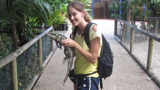 Eastern Water Dragon (Physignathus lesueurii lesueurii)